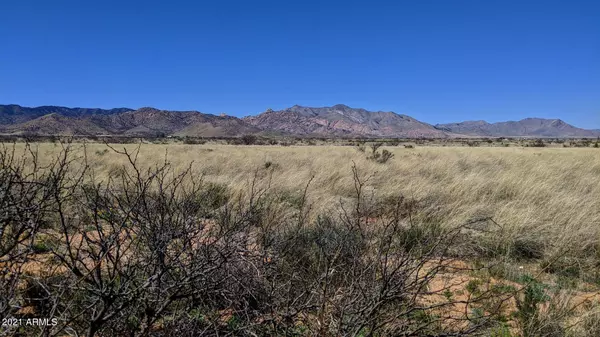 Pearce, AZ 85625,83 ACRE on Spruce Road #-