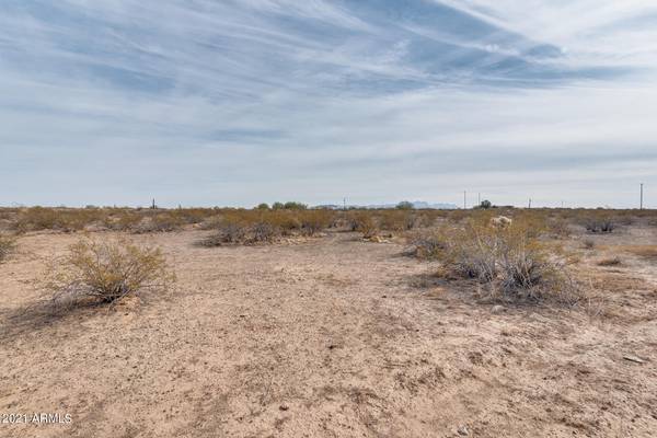 Wittmann, AZ 85361,29800 W Dale Lane #224