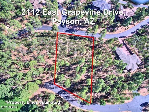 Payson, AZ 85541,2112 E GRAPEVINE Drive #513