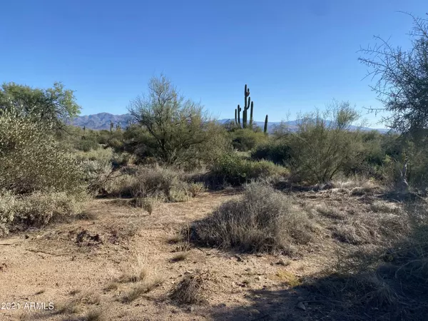 Scottsdale, AZ 85262,279 N 164th Street #-