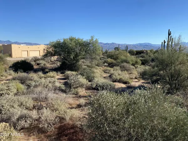Scottsdale, AZ 85262,279 N 164th Street #-