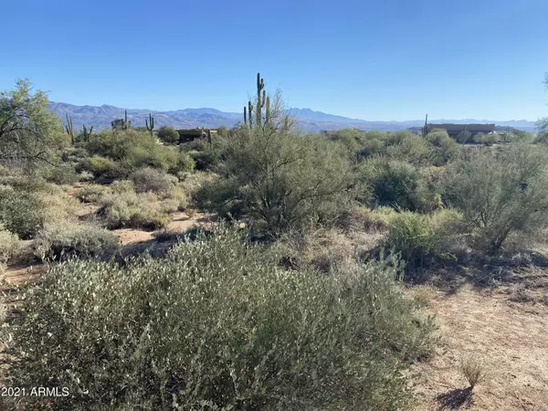 Scottsdale, AZ 85262,279 N 164th Street #-