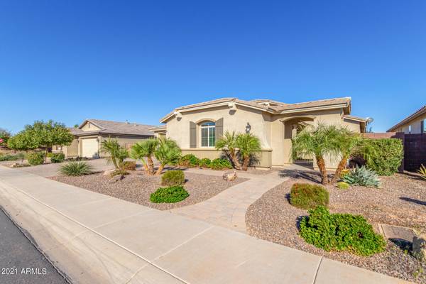 San Tan Valley, AZ 85140,852 W COFFEE TREE Avenue