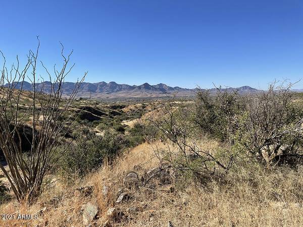 Rio Rico, AZ 85648,1689 Avenida Calamar -- #121