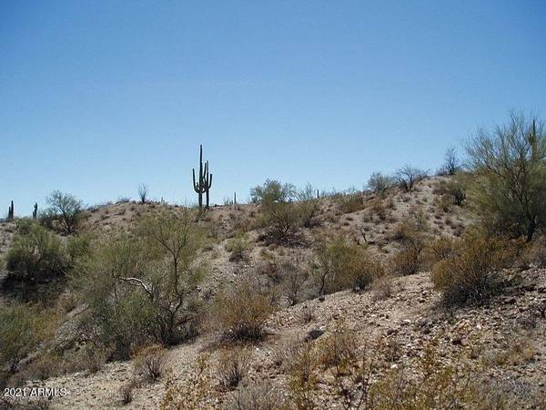 0 W Pleasant Place #213, Wittmann, AZ 85361