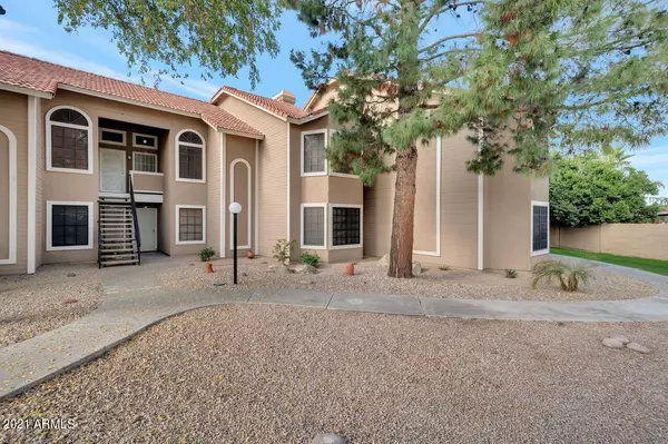 Mesa, AZ 85205,5230 E Brown Road #260