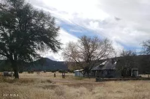 499 S ROLLING HILLS Road, Young, AZ 85554