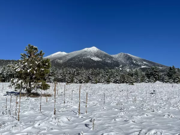 Flagstaff, AZ 86001,9175 N SNOWBOWL RANCH Road #7