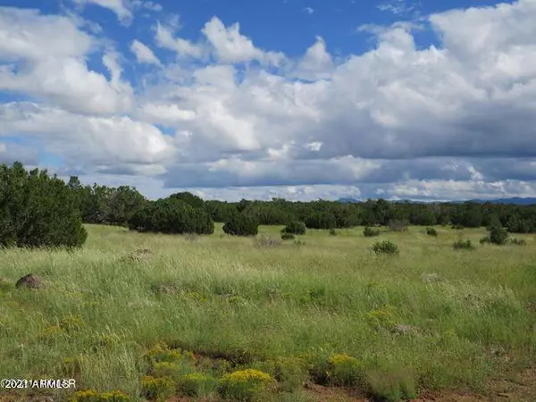 Concho, AZ 85924,Pines Unit 1 Lot 138 -- #138