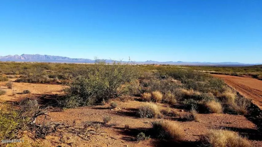 81 N High Lonesome Road #81, Elfrida, AZ 85610