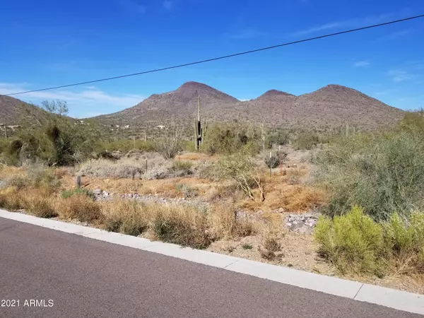 Cave Creek, AZ 85331,3100 E Saddle Mountain Road #-