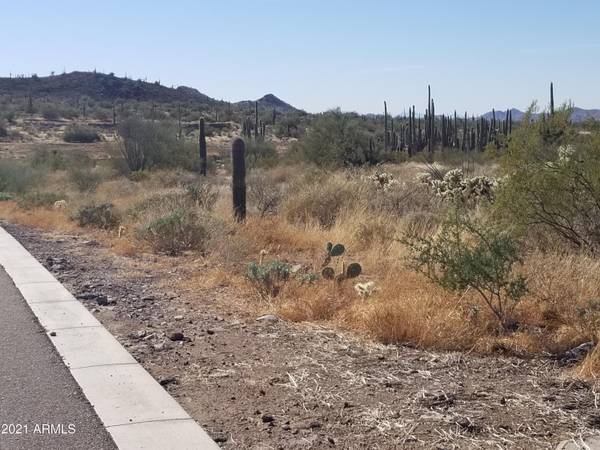 Cave Creek, AZ 85331,3100 E Saddle Mountain Road #-