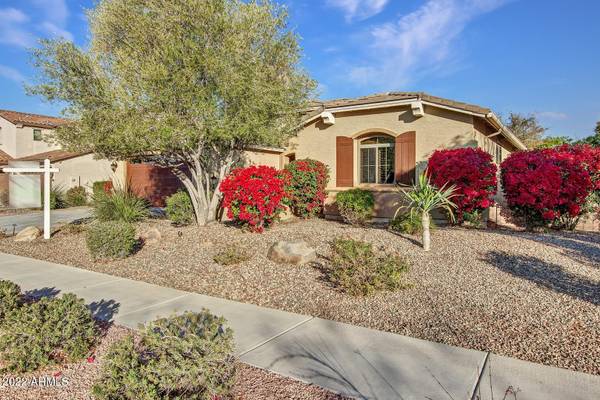 Chandler, AZ 85248,76 W LYNX Way