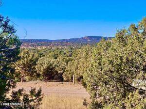 Concho, AZ 85924,Pines Unit 8 Lot 343 -- #343