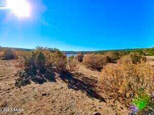 Concho, AZ 85924,178 COUNTY ROAD 8206 -- #187