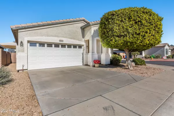 9862 E FLOWER Avenue, Mesa, AZ 85208