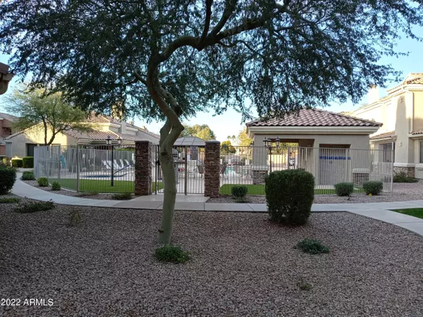 Chandler, AZ 85225,955 E KNOX Road #214