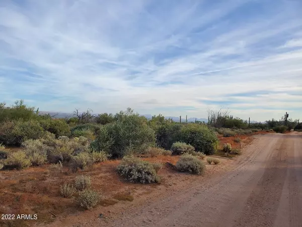 Rio Verde, AZ 85263,0 174th E. Lone Mountain Road #--