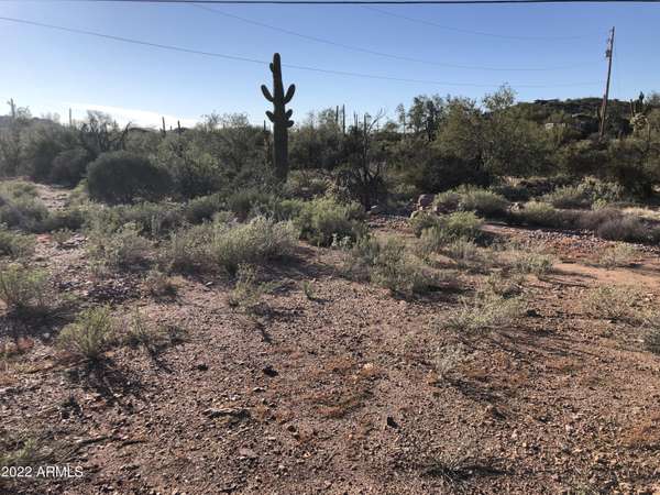 Gold Canyon, AZ 85118,34 S BLACKHAWK Road #-