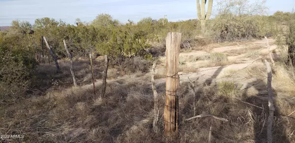 Marana, AZ 85658,0 E Estancia Drive #-