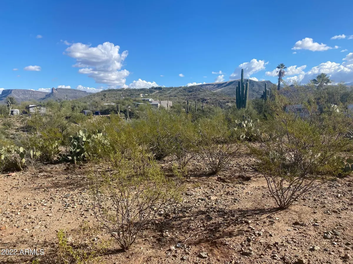 Black Canyon City, AZ 85324,20465 E WAGON WHEEL Circle #41