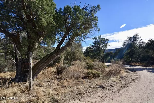 Superior, AZ 85173,0 N Paradise Lane #106-16-005L