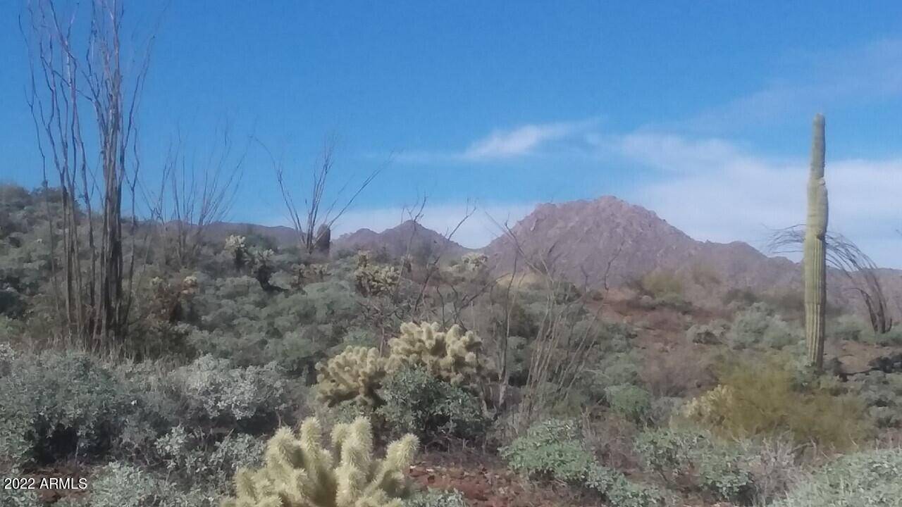Fountain Hills, AZ 85268,16722 N MOUNTAIN Parkway #71