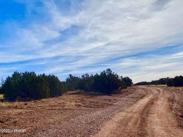 Alamo Ln 41 Acres -- #-, White Mountain Lake, AZ 85912