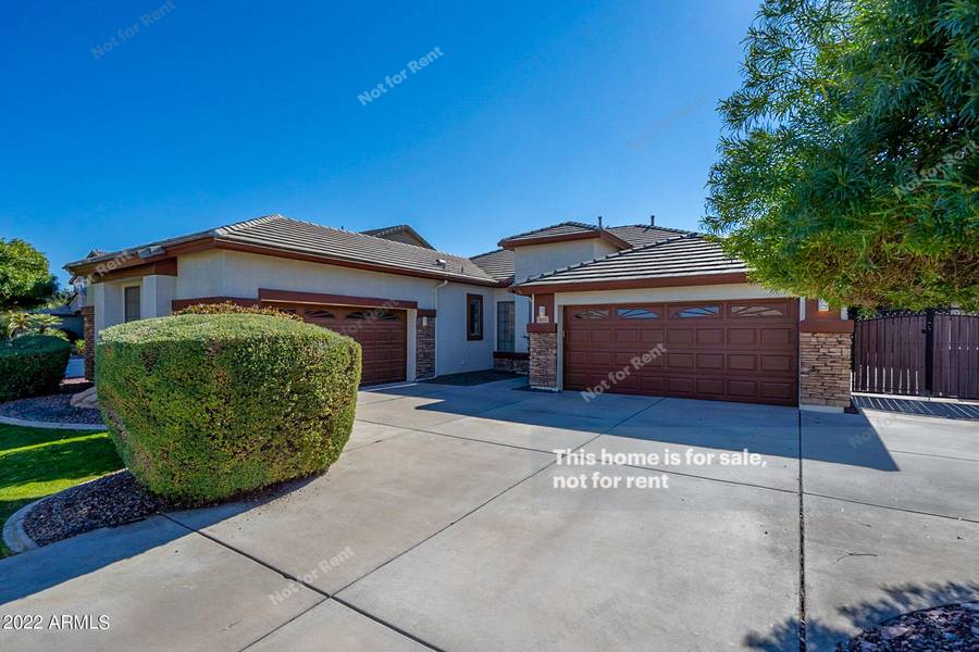 875 E TYSON Court, Gilbert, AZ 85295