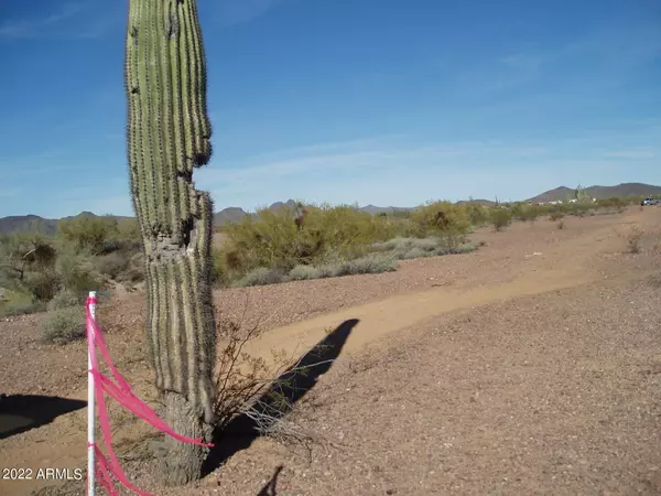 Unincorporated County, AZ 85361,30025 W Smokehouse Trail #110