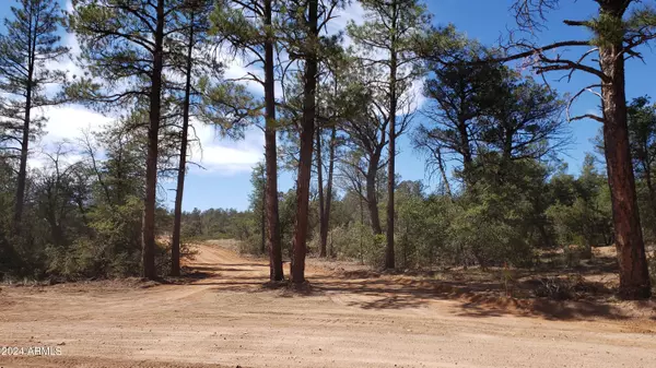 Young, AZ 85554,42 N Ike Clark Parkway #2