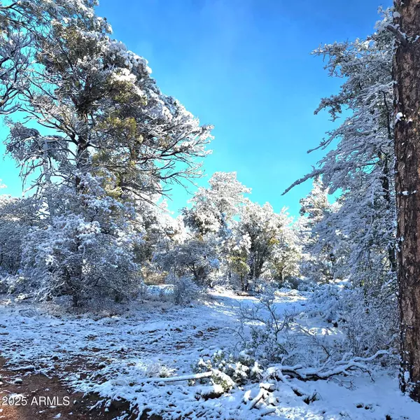 Young, AZ 85554,42 N Ike Clark Parkway #2