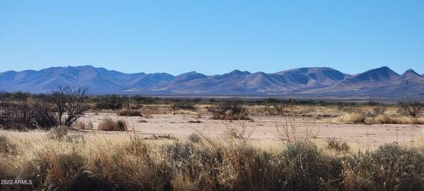 133 W Stampede Path #133, Elfrida, AZ 85610