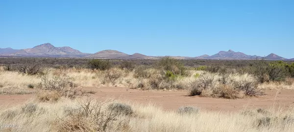 Elfrida, AZ 85610,133 W Stampede Path #133