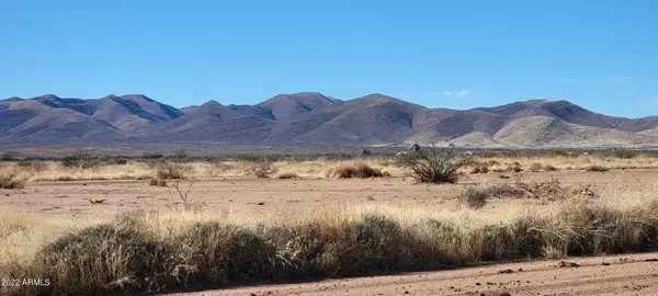 Elfrida, AZ 85610,133 W Stampede Path #133