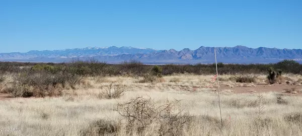 Elfrida, AZ 85610,133 W Stampede Path #133