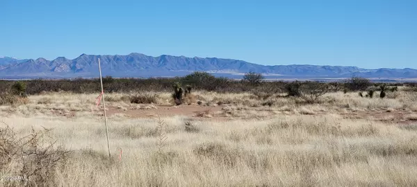 Elfrida, AZ 85610,133 W Stampede Path #133