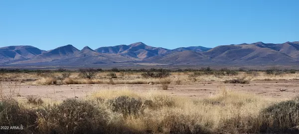 Elfrida, AZ 85610,133 W Stampede Path #133