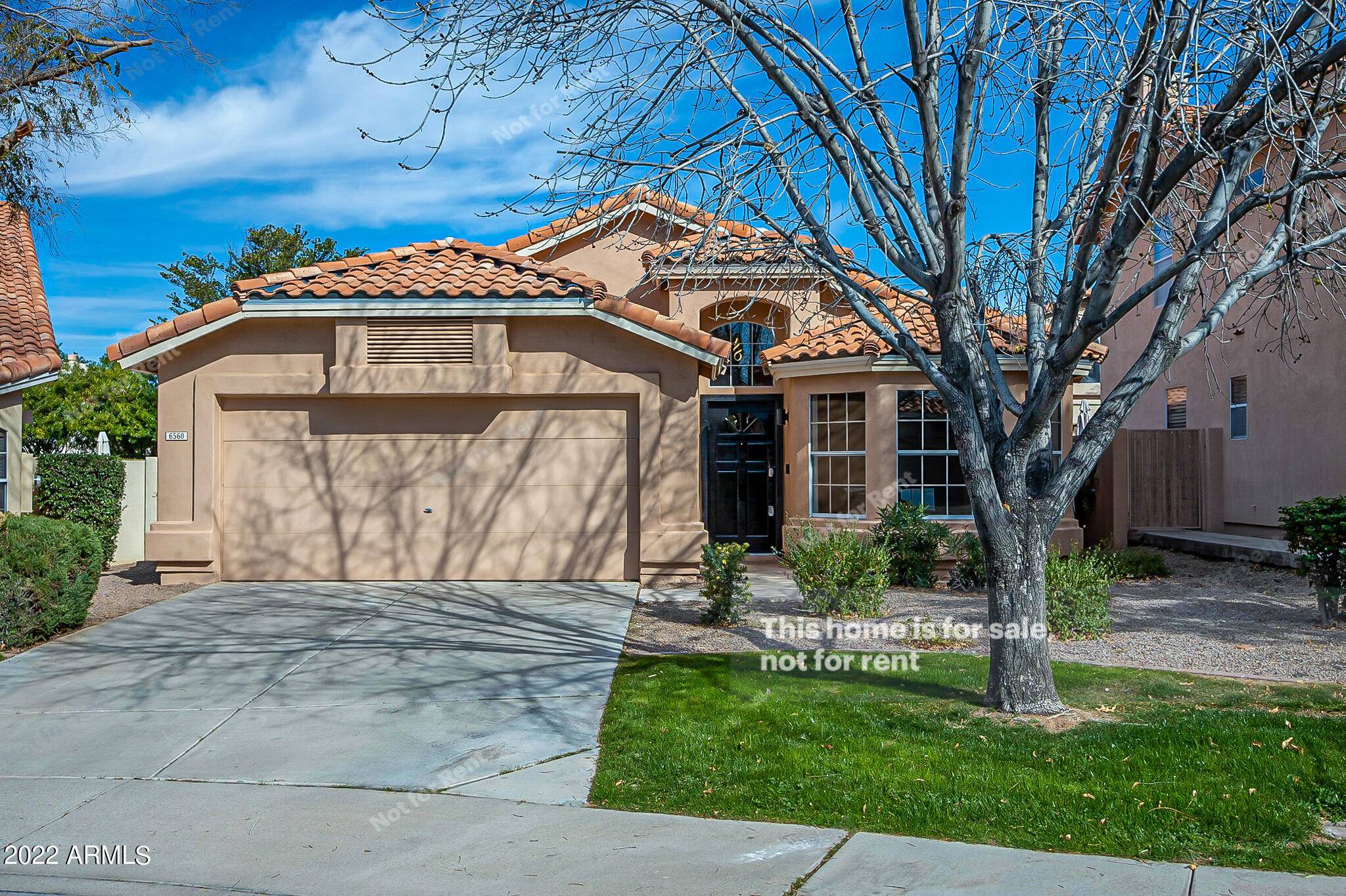 6560 E SADDLEBACK Street, Mesa, AZ 85215