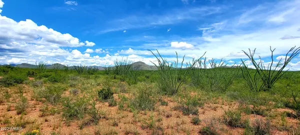 Bisbee, AZ 85603,10140003 S Gold Gulch Road #24