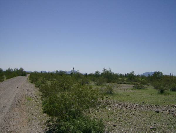 Tonopah, AZ 85354,401 W Peoria Road #-