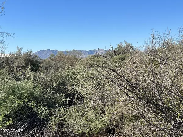 Scottsdale, AZ 85262,16200 E Tonto National Forest Road #-