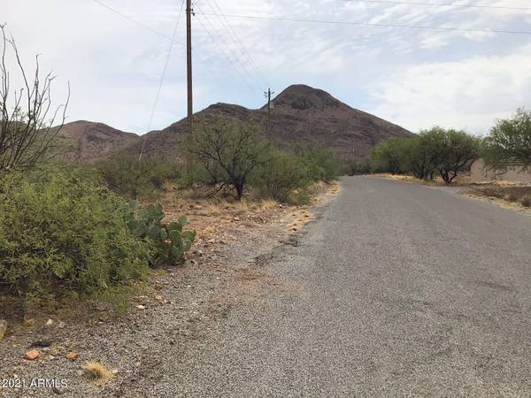 Rio Rico, AZ 85648,338 Camino Canoa -- #14