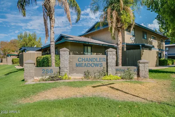 Chandler, AZ 85225,286 W PALOMINO Drive #43