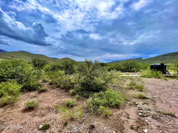 Bisbee, AZ 85603,0 W Red Mountain Road #-