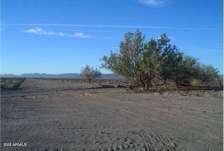 Salome, AZ 85348,66 66th Street #1