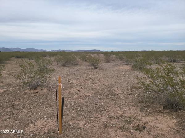 Tonopah, AZ 85354,378 W Camelback -- #74