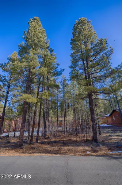 5894 MULE DEER Way #158, Pinetop, AZ 85935