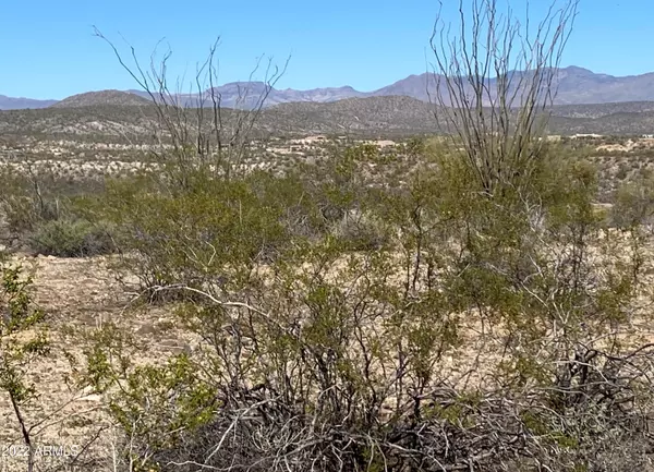 Wickenburg, AZ 85390,0 N Hwy 93 Highway #-