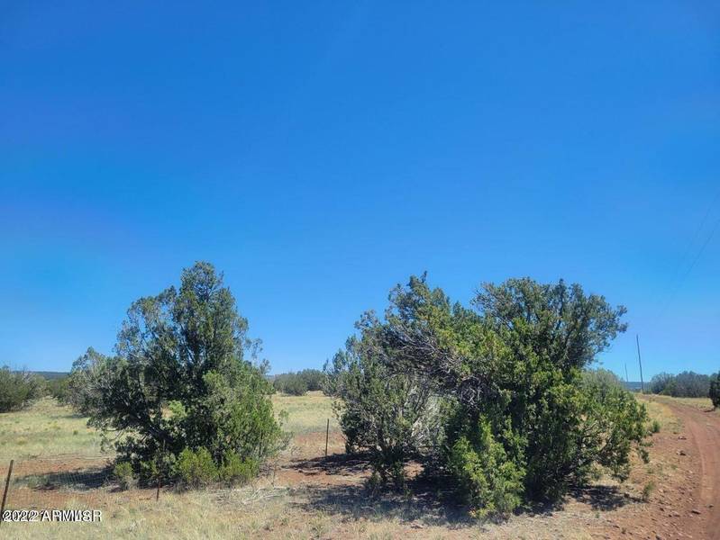 Lot 009C -- #009C, Concho, AZ 85924